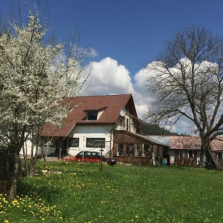 Karacsony Guest House Gyimesfelsőlok Kültér fotó