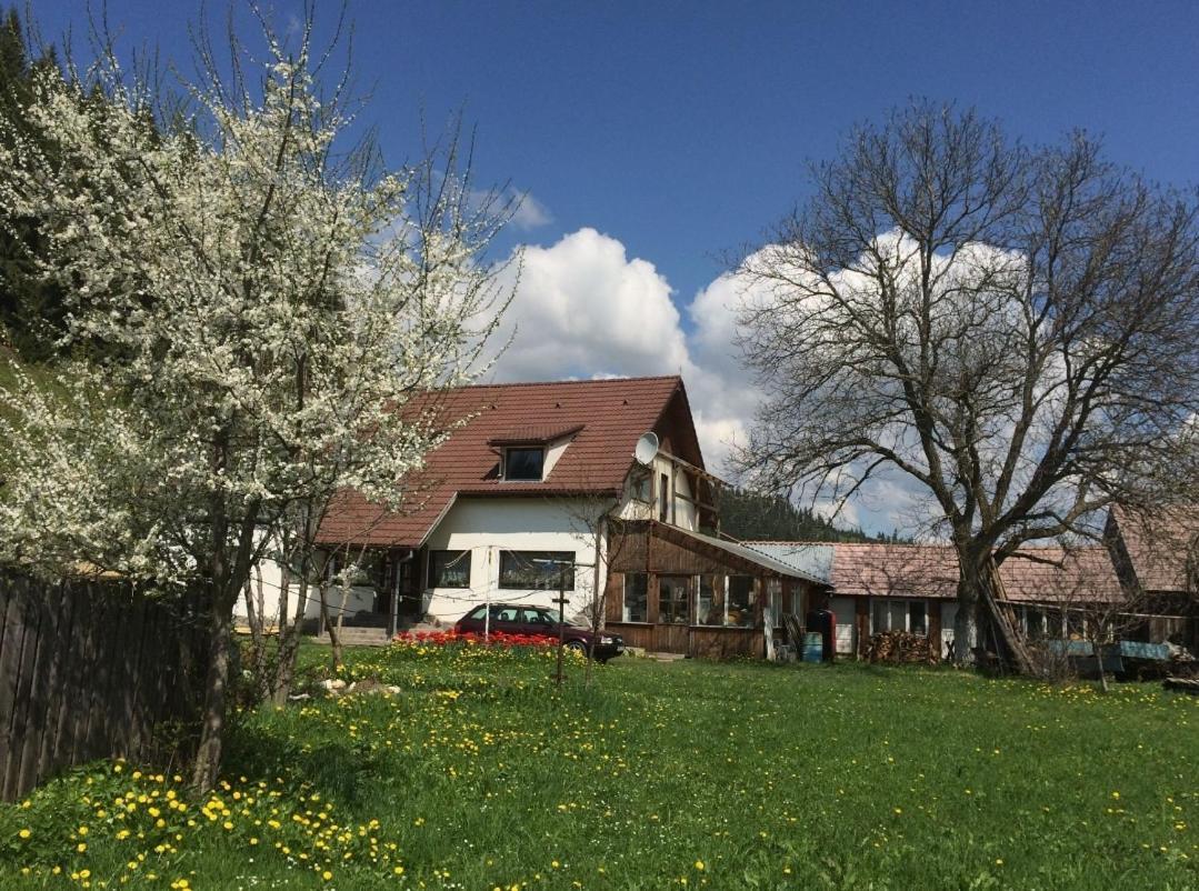 Karacsony Guest House Gyimesfelsőlok Kültér fotó